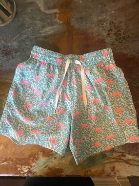 Turquoise & Pink Flamingo Print Swim Shorts Chubbies